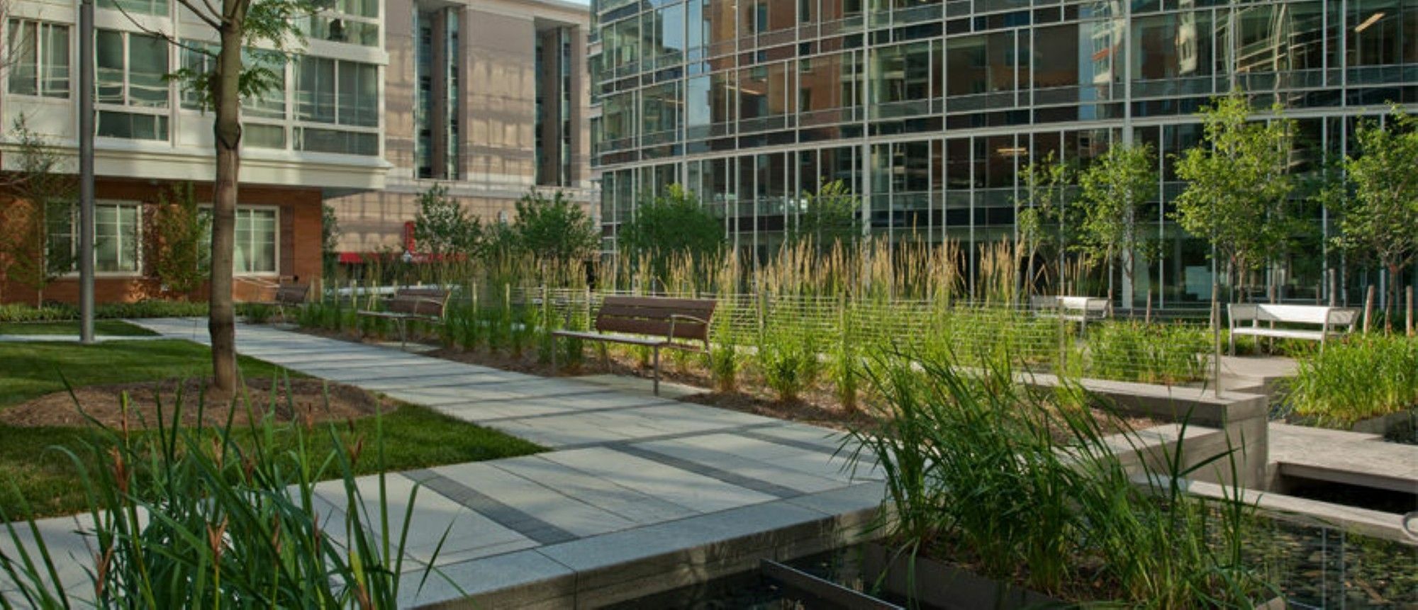Global Luxury Suites At Foggy Bottom Washington Luaran gambar
